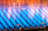Bicker Gauntlet gas fired boilers